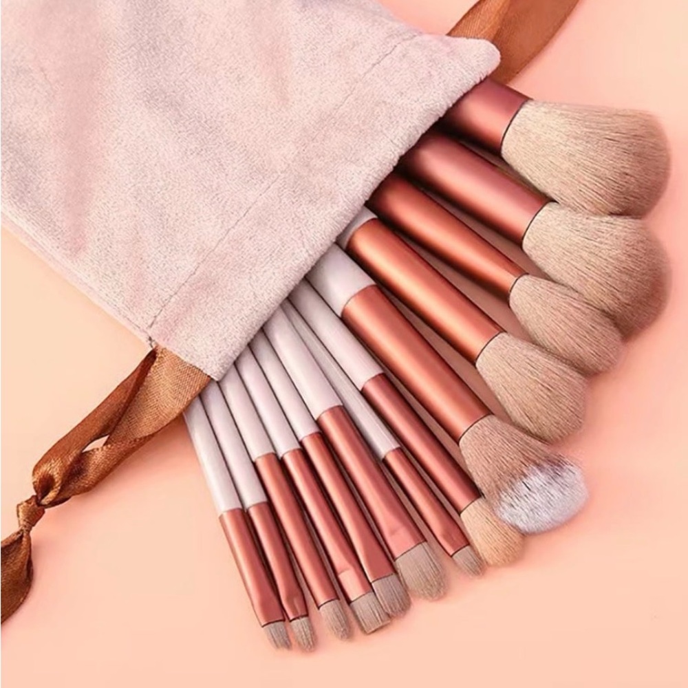 Makeup Brush Set 13 Brushes in Velvet Bag